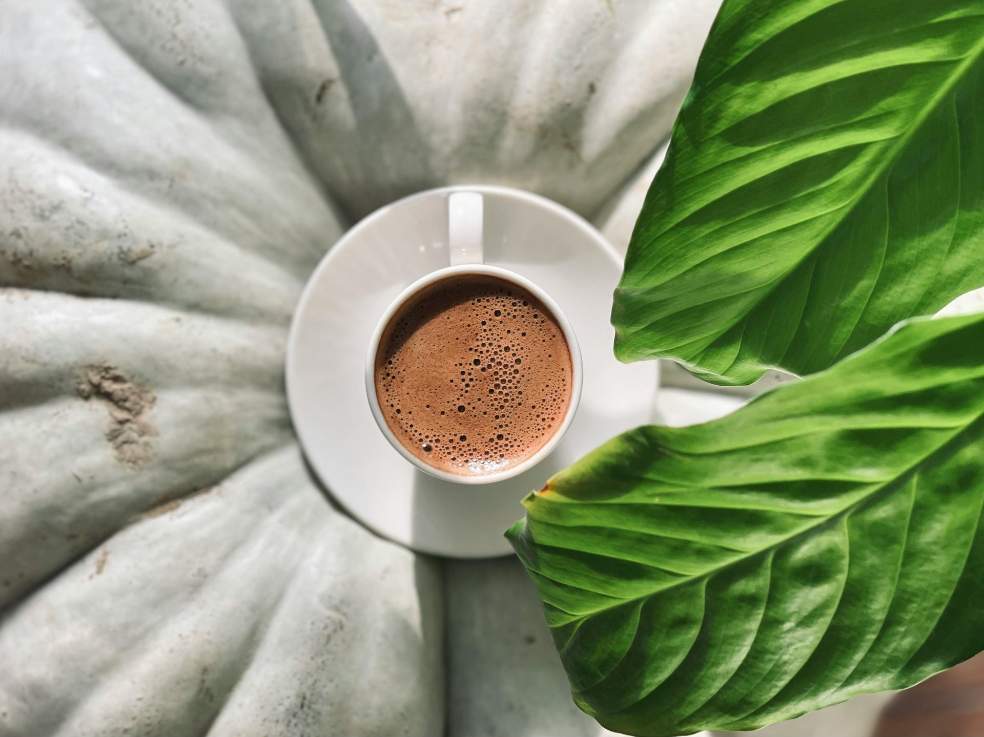 Overhead view of a white coffee cup filled with espresso surrounded by green plant leaves and grey concrete texture