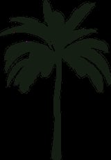 Silhouette of a palm tree with fronds and a tall trunk against a black background