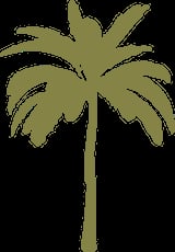 Silhouette of a palm tree with feathery fronds and a straight trunk